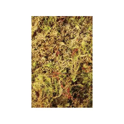 Живий мох Komodo Habitat Moss 1,5л (83003): додаткове фото 3