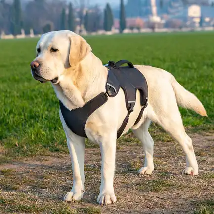 Ferplast ERGOTREKKING XL HARNESS BLACK Ергономічна шлея для собак: додаткове фото 4