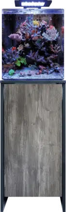 BM REEF 60 AQUARIUM (N4055010) морський акваріумний комплект