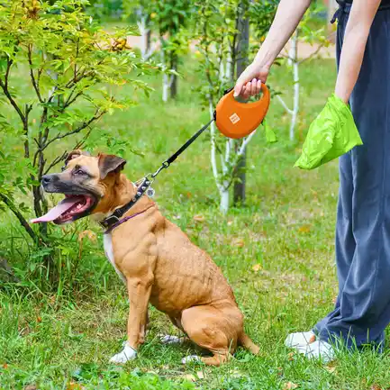 Повідець-рулетка для собак WAUDOG R-leash з контейнером для пакетів, світловідбивна стрічка, L, до 40 кг, 5 м, помаранчевий: додаткове фото 6