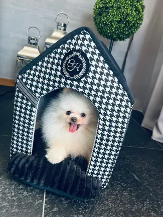 Chloe's Home Будинок Positano чорний M: додаткове фото 2