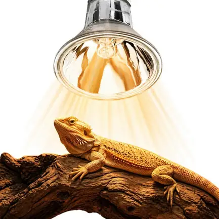 Галогенна лампа UVA Terrario Nadara Pro 25W E27 для тераріуму: додаткове фото 2