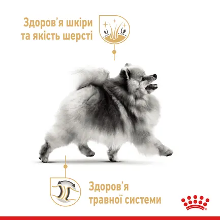 Сухий корм Royal Canin POMERANIAN ADULT для дорослих собак породи Померанський шпіц 0,5 кг: додаткове фото 4