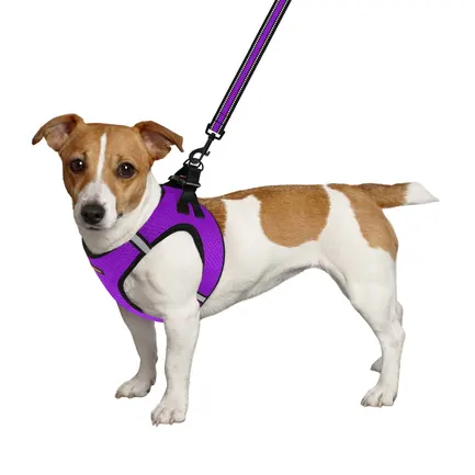 Шлея для собак Bronzedog Mesh Vest 3D сітка фіолетова XS: додаткове фото 3