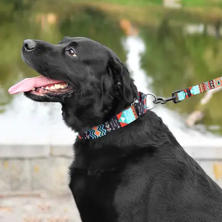 Нашийник для Собак Мартінґейл BronzeDog Urban Нейлоновий з Металевою Фурнітурою Ацтеки M: додаткове фото 8