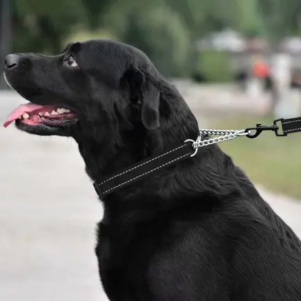 Нашийник для Собак Мартингейл BronzeDog Active нейлоновий зі світловідбиттям Чорний M: додаткове фото 5