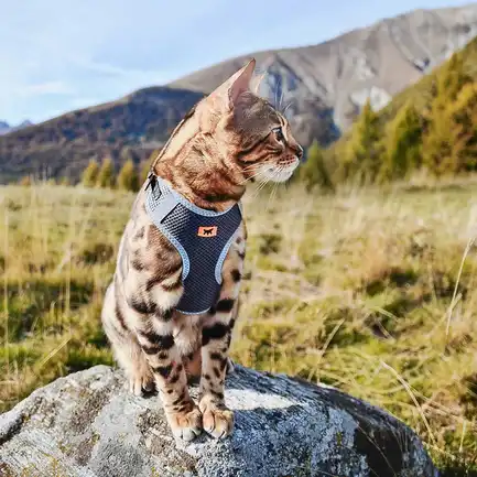 Ferplast NIKITA P XS HARNESS BLACK Шлея,нейлон,: додаткове фото 5
