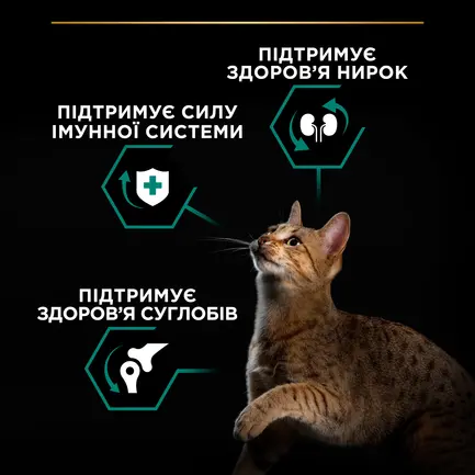 Сухий корм PRO PLAN Adult 1+ Renal Plus для дорослих котів з куркою 10 кг: додаткове фото 6