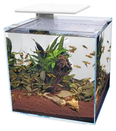 Акваріумний набір SuperFish QubiQ 60 LED White (A4050900)