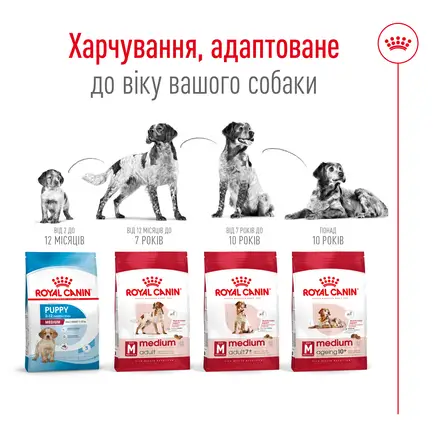 Сухий корм Royal Canin MEDIUM ADULT 7+ для собак зрілого віку середніх порід 4 кг: додаткове фото 3