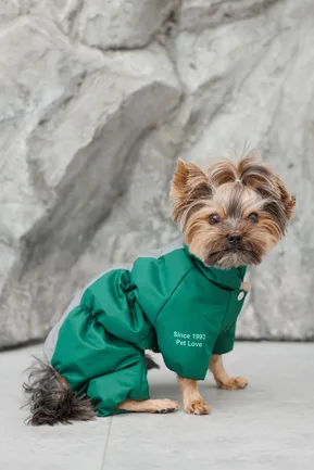 Комбінезон Pet Fashion EGO ХS2 зелений для собак: додаткове фото 6