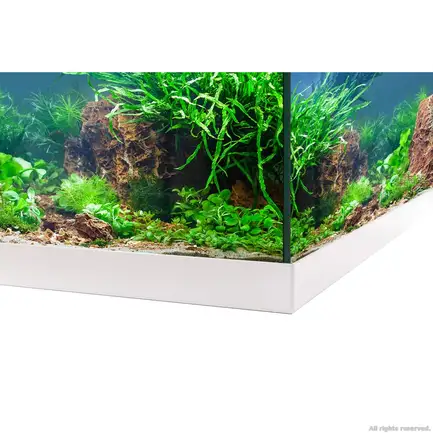 Акваріумний комплект Eheim aquastar 54 LED білий (0340646): додаткове фото 5