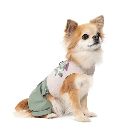 Шлея-костюм Pet Fashion для собак Patrik S: додаткове фото 4