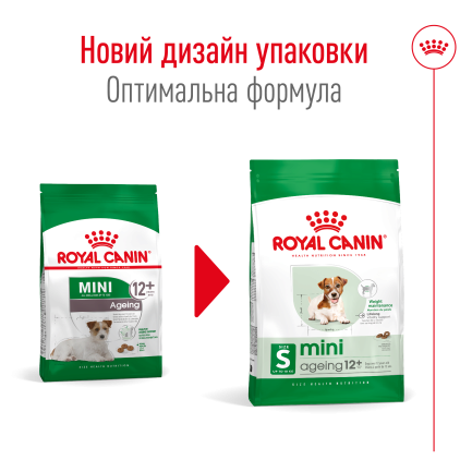 Сухий корм Royal Canin MINI AGEING 12+ для собак зрілого віку малих порід 0,8 кг — Фото 1