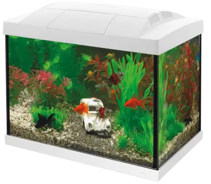 Акваріумний стартовий набір SuperFish Start 20 Aquarium Kit White (A4050269)