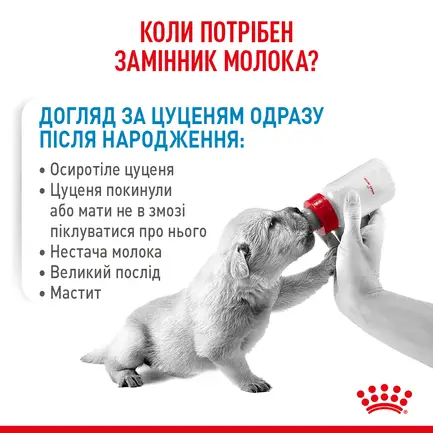 Сухий корм Royal Canin BABYDOG MILK для цуценят всіх порід 2 кг: додаткове фото 6