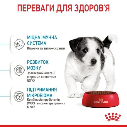 Сухий корм Royal Canin MINI PUPPY для цуценят малих порід 0,8 кг + WET MINI PUPPY 85 г — Фото 4