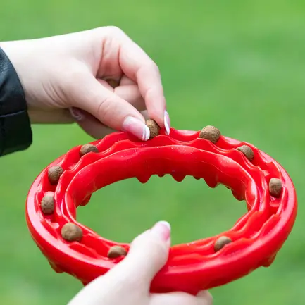 Ferplast SMILE M RED DOG RING: додаткове фото 3
