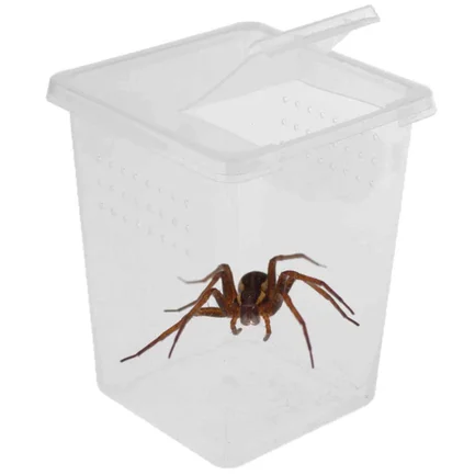 Тераріум, фаунаріум Terrario Insect Box High 9x9x11см: додаткове фото 3