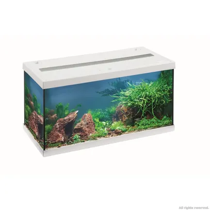 Акваріумний комплект Eheim aquastar 54 LED білий (0340646): додаткове фото 3