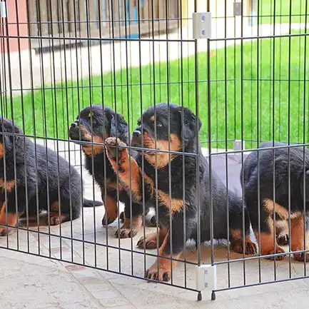 Ferplast CAGE DOG TRAINING Загін для щенят, метал: додаткове фото 7