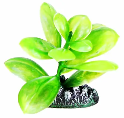 Акваріумна рослина Aquatic Plants, 8 см х 8 шт / уп (0880)
