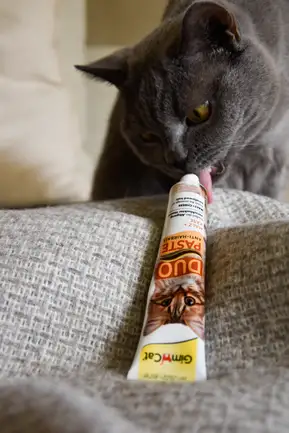 Паста для котів з чутливим травленням GimCat DUO PASTE Anti-hairball malt with cheese мальт та сир, 50 г: додаткове фото 4