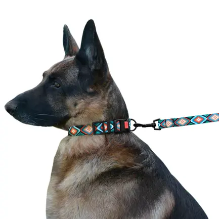 Нашийник для Собак BronzeDog Urban Нейлоновий з Пластиковою Пряжкою Ромби M: додаткове фото 7