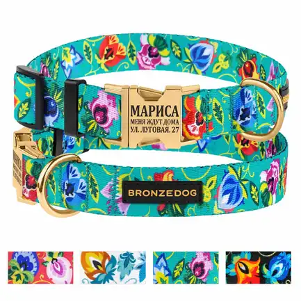 Нашийник для собак Bronzedog Urban Folk нейлоновий з металевою пряжкою золотистого кольору ментоловий M: додаткове фото 3