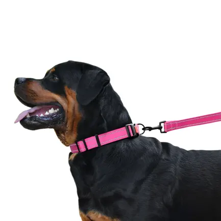 Повідець для Собак Bronzedog Active Нейлоновий зі Світловідбиттям Рожевий S: додаткове фото 7