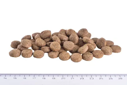 Сухий корм Brit GF VetDiet Dog Obesity для собак, корекція ваги, з ягням, індичкою та горохом, 2 кг: додаткове фото 5
