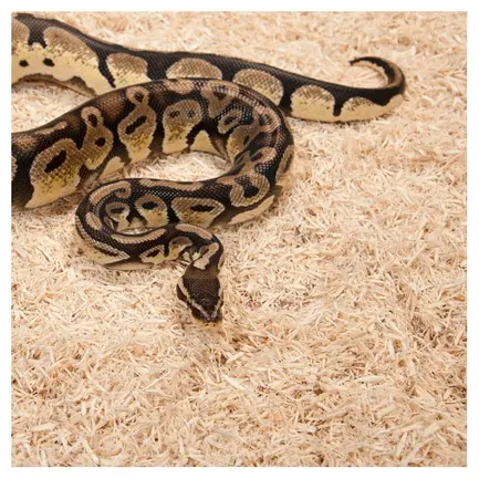 Субстрат з тополі 2.4л Repti-Zoo Aspen Snake Bedding (SB001): додаткове фото 4