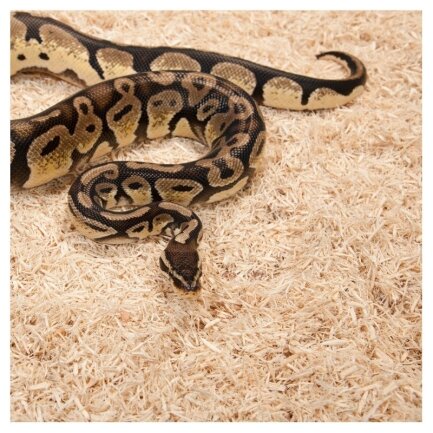 Субстрат з тополі 2.4л Repti-Zoo Aspen Snake Bedding (SB001) — Фото 3