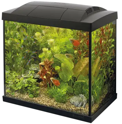 Акваріумний стартовий набір SuperFish Start 30 Aquarium Kit Black (A4050275)