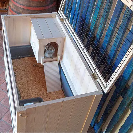 Ferplast CAGE COTTAGE Вольєр для кролів дерев'яний: додаткове фото 5