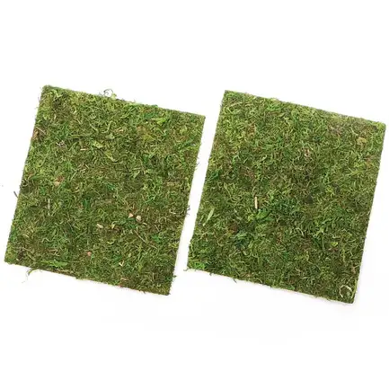 Фон моховий Repti-Zoo Natural Moss Back & Bottom 20x20см 2шт. (NCM2020): додаткове фото 4