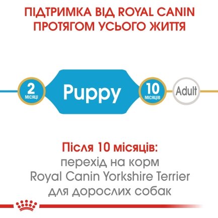 Сухий корм Royal Canin YORKSHIRE PUPPY для цуценят породи Йоркшир-тер&#039;єр 0,5 кг — Фото 3