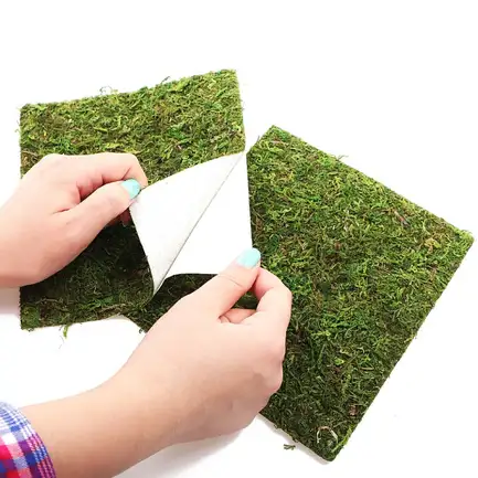 Фон моховий Repti-Zoo Natural Moss Back & Bottom 50x25см 2шт. (NCM5025): додаткове фото 4