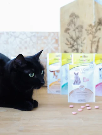 Таблетки GimCat Every Day Skin&Coat для котів, 40 г: додаткове фото 4