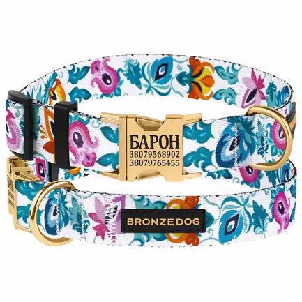 Нашийник для собак Bronzedog Urban Folk нейлоновий з металевою пряжкою золотистого кольору білий L