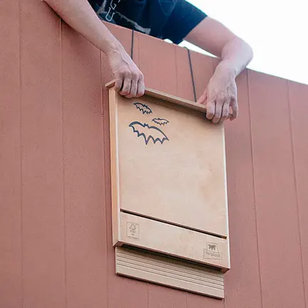 Ferplast BAT HOUSE Будинок для летючих мишей: додаткове фото 5