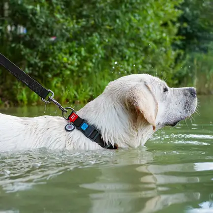 Нашийник для собак водостійкий WAUDOG Waterproof c QR паспортом, пластикова пряжка-фастекс, Ш 25 мм, Дов 38-58 см, чорний: додаткове фото 2