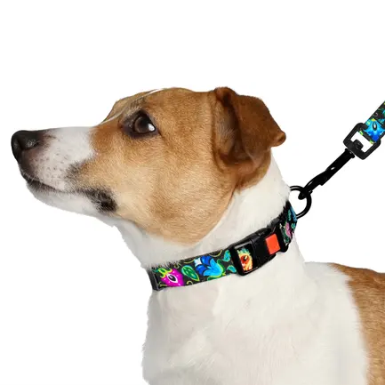 Повідець для собак BronzeDog Urban Folk чорний нейлоновий M: додаткове фото 2