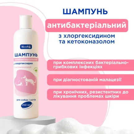 Шампунь антибактеріальний з хлоргексидином і кетоконазолом для собак і котів, 250 мл, MODES: додаткове фото 2