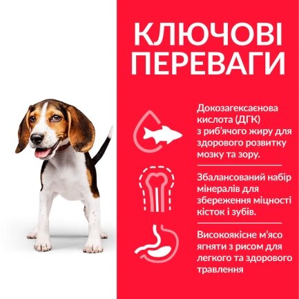 Hill’s Science Plan Puppy Medium Breed Сухий корм для цуценят середніх порід, з ягням і рисом, 2,5 кг — Фото 2