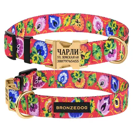 Нашийник для собак Bronzedog Urban Folk нейлоновий з металевою пряжкою золотистого кольору кораловий M: додаткове фото 3