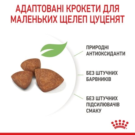 Сухий корм Royal Canin XSMALL PUPPY для цуценят мініатюрних порід 3 кг — Фото 5