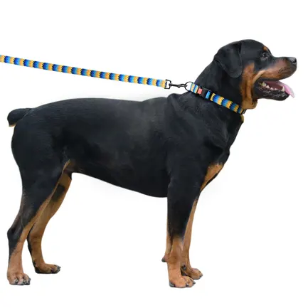 Нашийник для Собак BronzeDog Urban Зигзаг Нейлоновий з Пластиковою Пряжкою Жовто-Синій L: додаткове фото 5