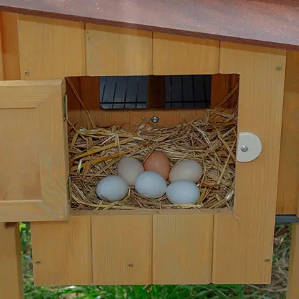 Ferplast CAGE HEN HOUSE 30 Будинок для курей, дерев'яний: додаткове фото 4