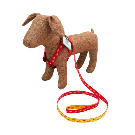 Комплект капроновий "Лапки" 1,6/28-39/31-48 червоно-жовтий, Lucky Pet